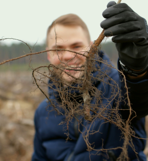 Photo of a man holding a root